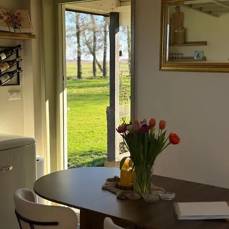 't Dijkhuisje - Holiday home Driehuizen