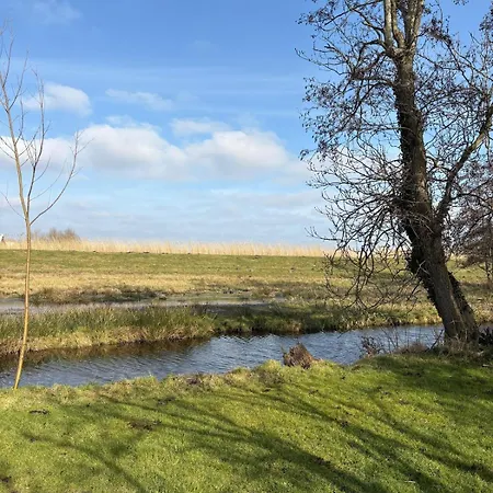 Holiday home 't Dijkhuisje - Driehuizen