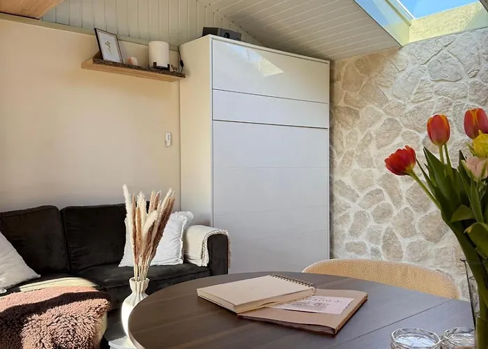 Holiday home 't Dijkhuisje -