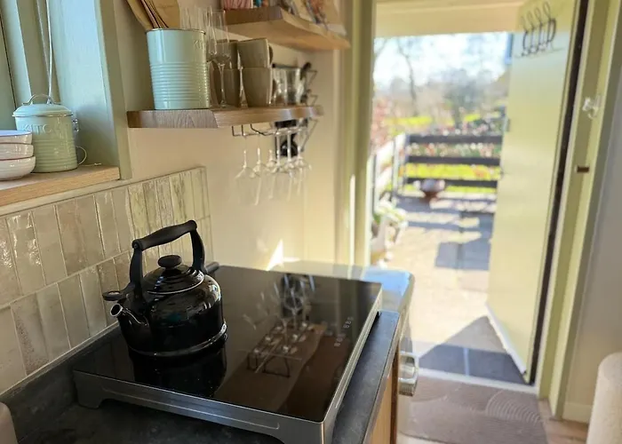 't Dijkhuisje - Holiday home Driehuizen