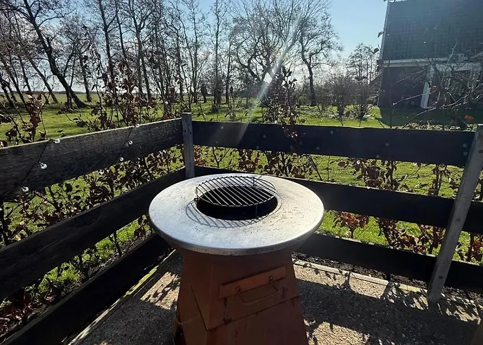 't Dijkhuisje - Holiday home Driehuizen