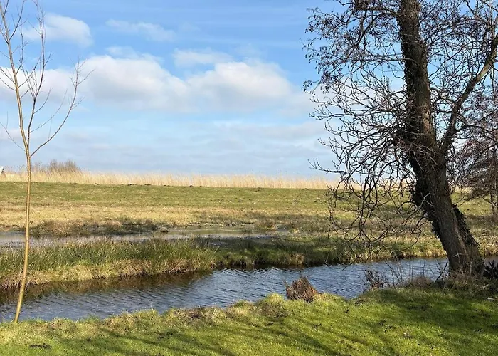Holiday home 't Dijkhuisje - Driehuizen